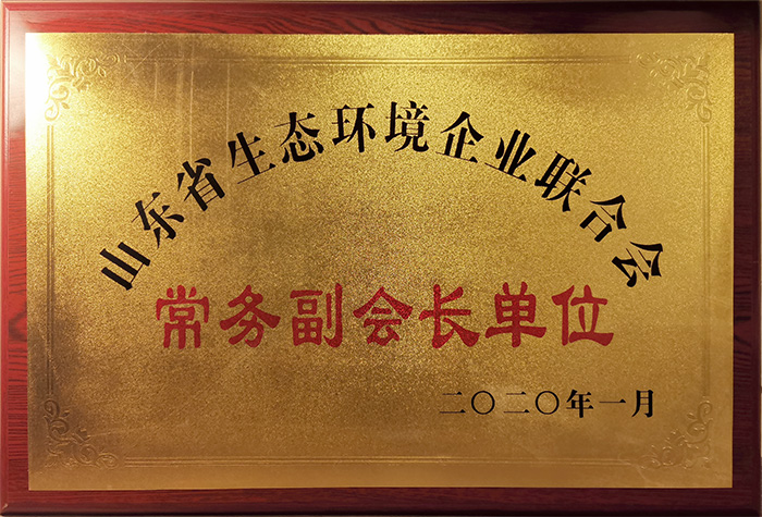 Поздравляем с избранием группы компаний China Coal в качестве исполнительного вице-президента федерации предприятий окружающей среды провинции Шаньдун